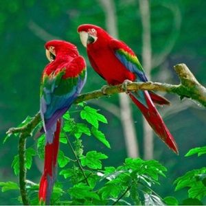 Meet your Posher, Lou